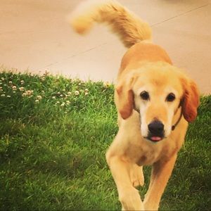 Meet your Posher, Jenna